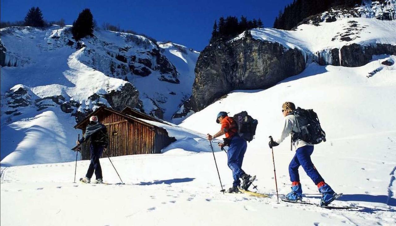Вилла Les Aiguilles De Warens Комблу Экстерьер фото